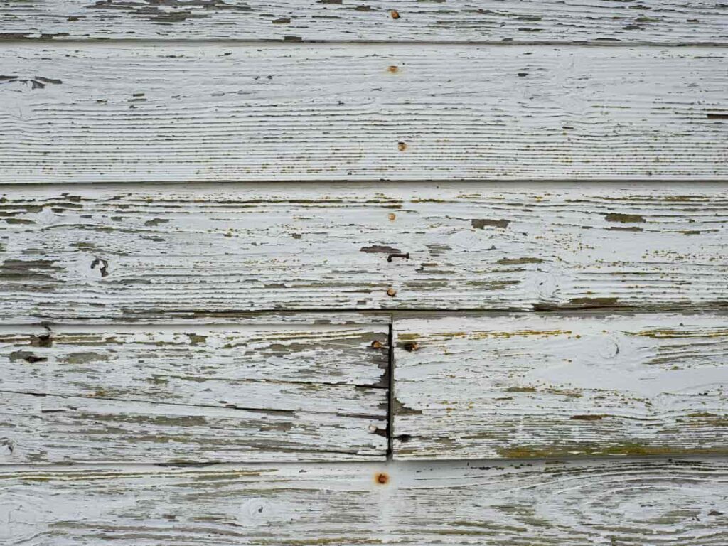 Damaged Siding Paint