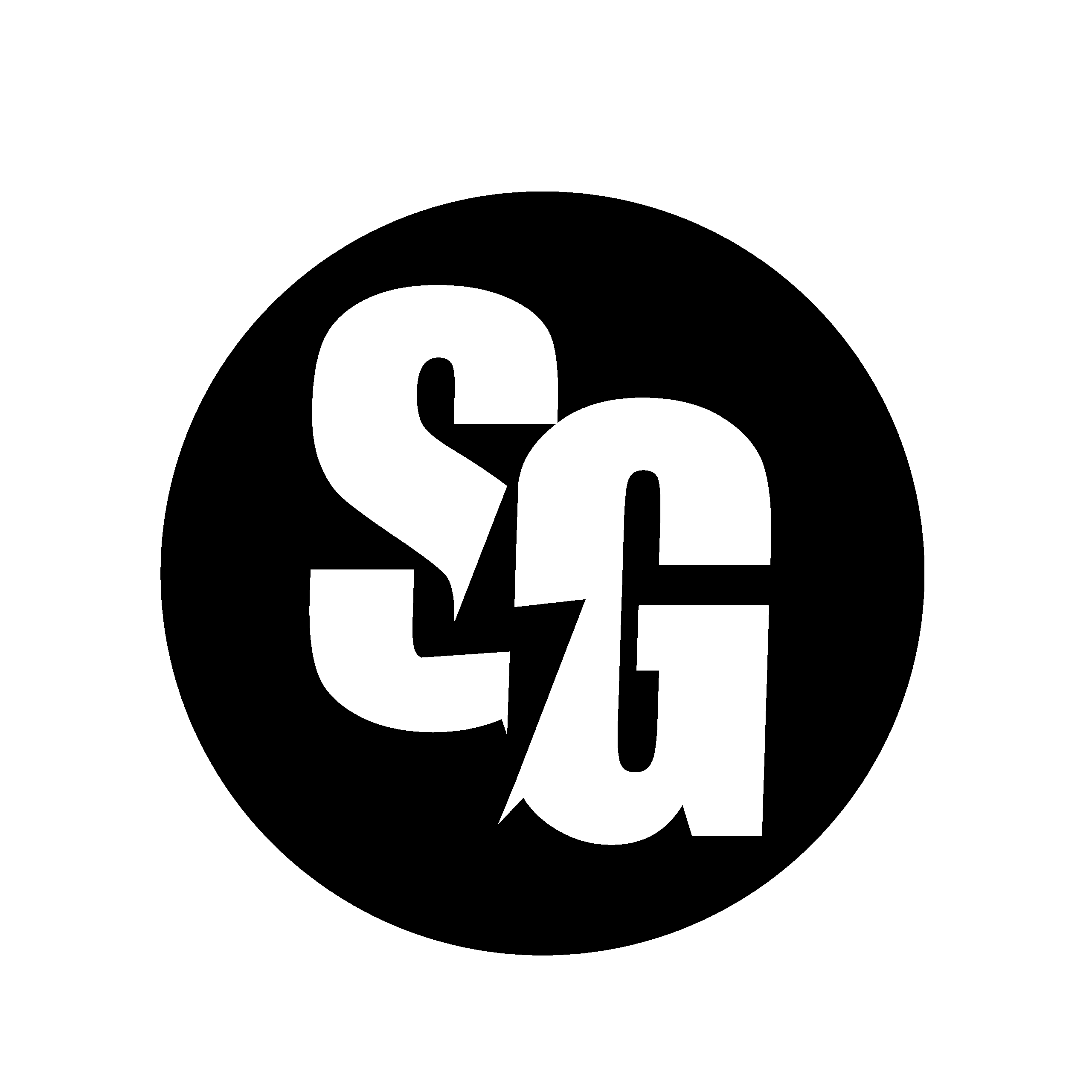 Storm Guard logo in black and white with lightning bolt between the letters S and G